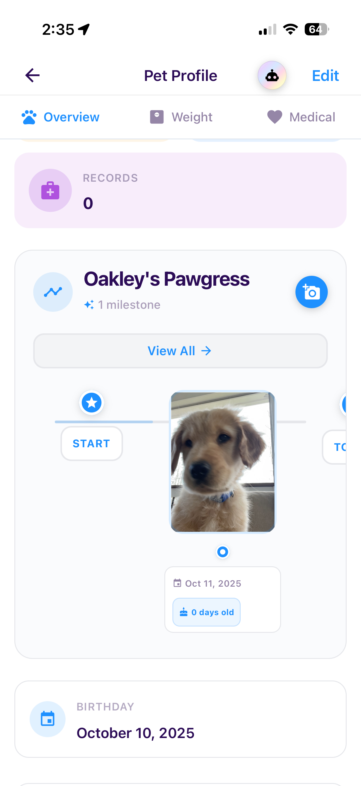Media Timeline Auto-Build